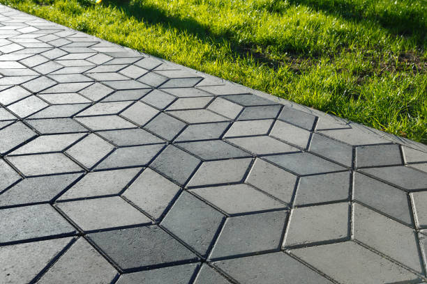 Best Driveway Pavers Near Me  in Raymond, IL