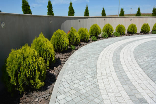 Best Driveway Resurfacing Pavers  in Raymond, IL